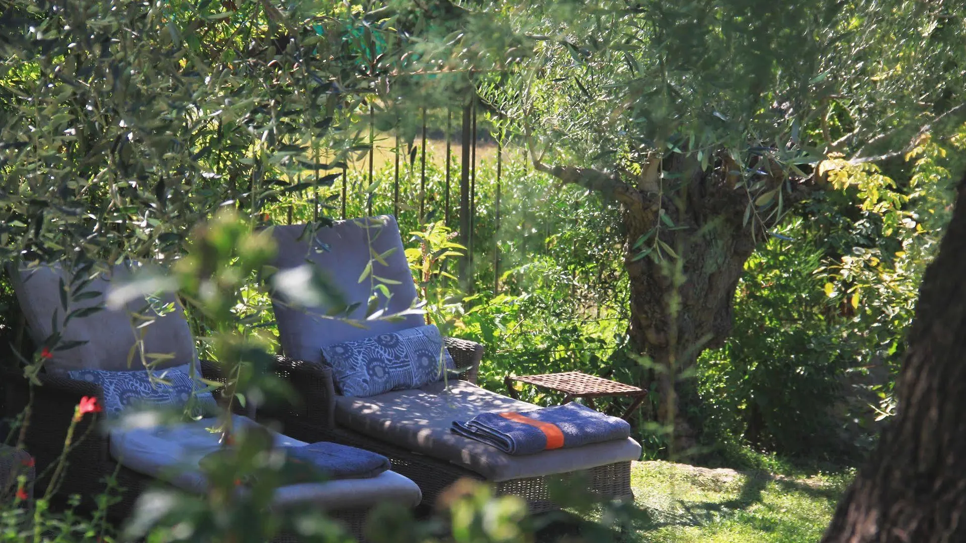 Les Rosees Bed & Breakfast Mougins France