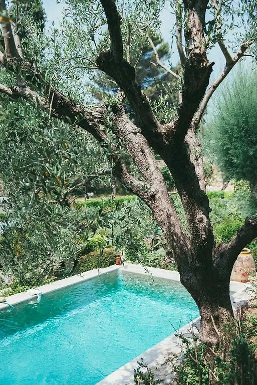 Les Rosées Mougins